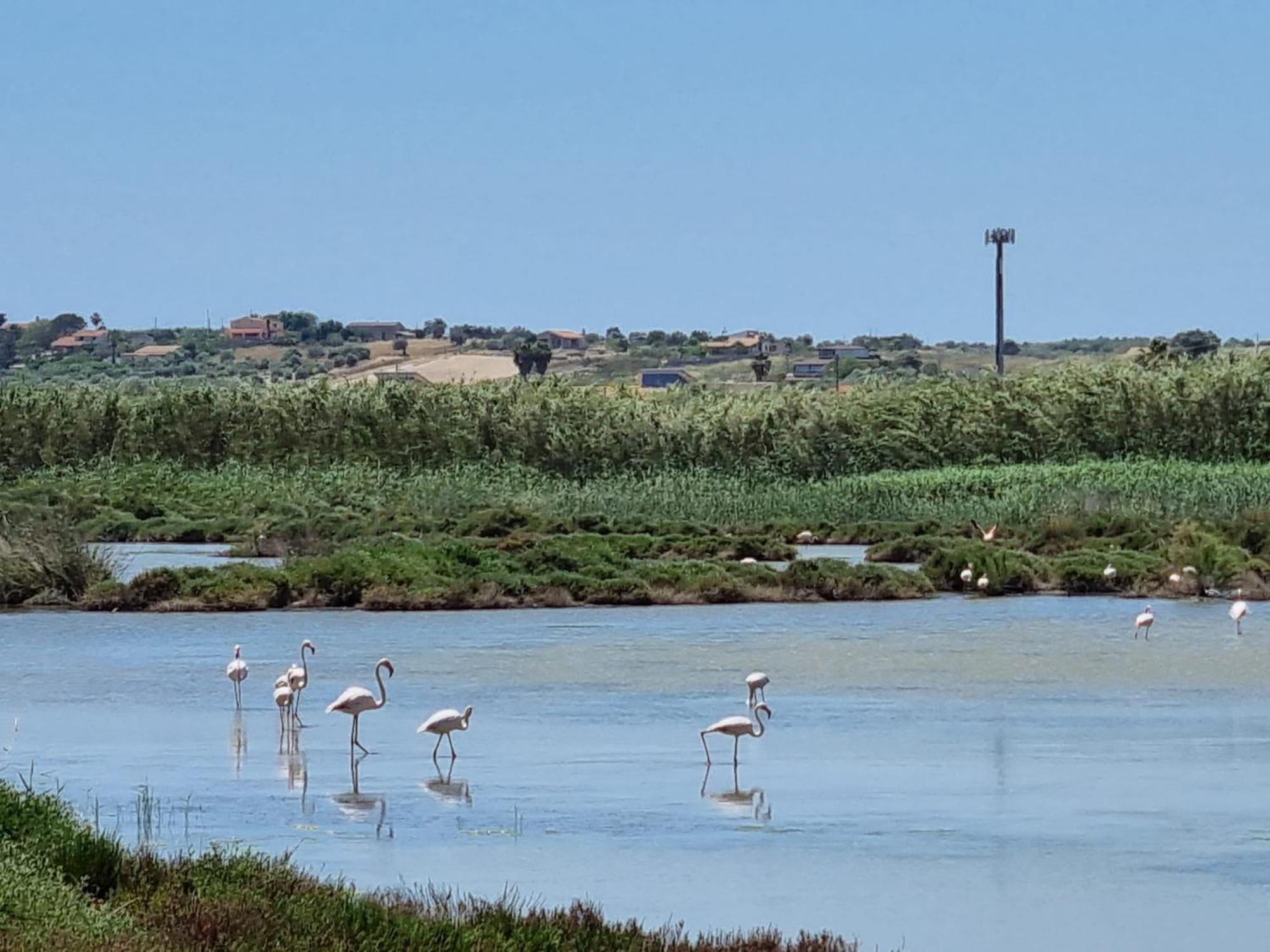 -Dimartino Home- Posizione Centrale 9 Min Da Marzamemi San Lorenzo Portopalo Di Capo Passero Pachino Dış mekan fotoğraf